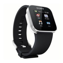 索尼SmartWatch MN2智能手表 报价、参数与体验全解析